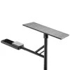 Rygh-Zc-50W সৌর প্যানেল চালিত বাগান পোস্ট LED স্ট্রিট লাইট 170lm/W